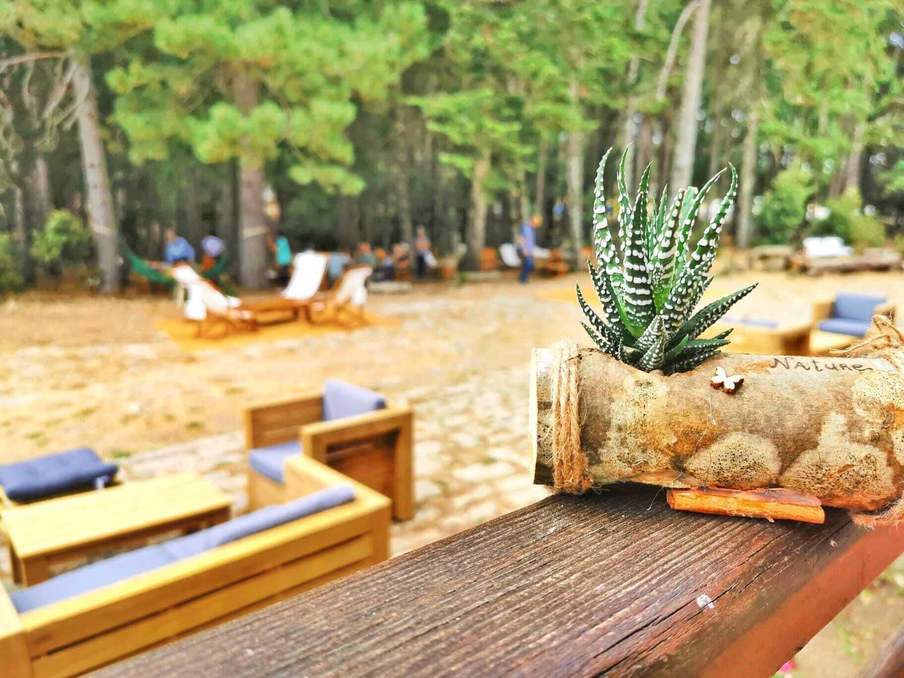 Vallicciola Nature Hotel Tempio Pausania Luaran gambar